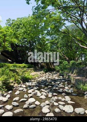 Inokashira Park Stockfoto