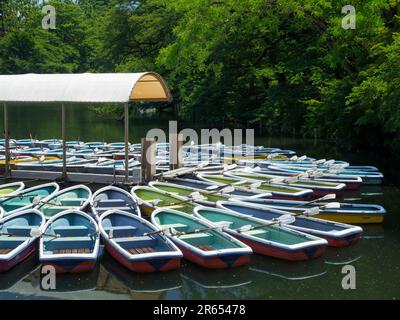 Inokashira Park Stockfoto