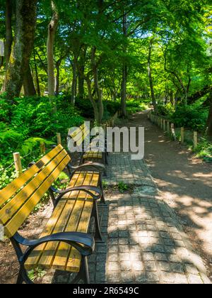 Inokashira Park Stockfoto