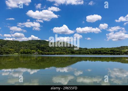 Hirozawa-Teich im Hochsommer Stockfoto