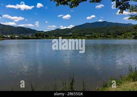 Hirozawa-Teich im Hochsommer Stockfoto