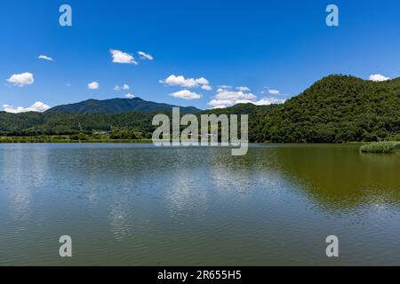 Hirozawa-Teich im Hochsommer Stockfoto