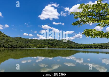 Hirozawa-Teich im Hochsommer Stockfoto