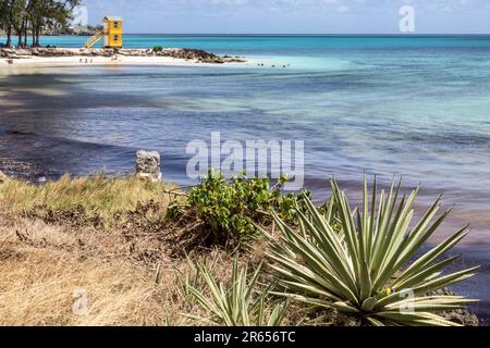 Miami Beech, Oistins, Barbados Stockfoto