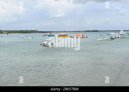 Fischerboote oder Angelpirogen und Glasbodenboote am Buccoo Beach, Tobago Stockfoto