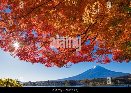 Mt. Fuji und die Herbstblätter Stockfoto