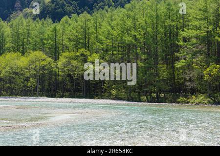 Frisches Grün im Hochland Stockfoto