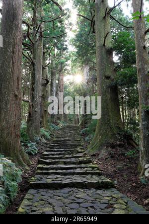 Daimonzaka Steinpflaster auf Kumano Kodo Nakaheji Stockfoto