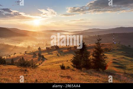 Sonnenberge, Wald, Nebellandschaft bei Sonnenuntergang auf der Wiese Stockfoto
