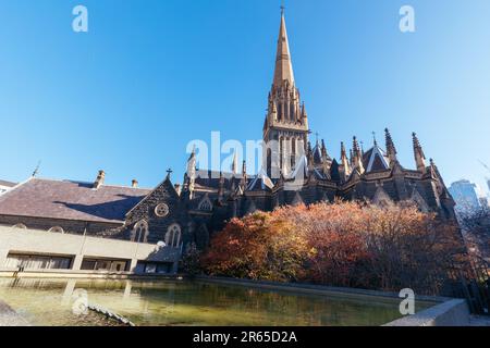 St. Patrick's Cathedral in Melbourne, Australien Stockfoto