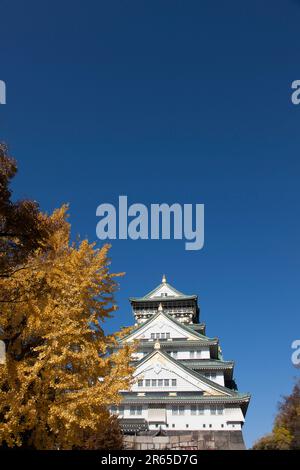 Ginkgo und Osaka Castle Keep Stockfoto