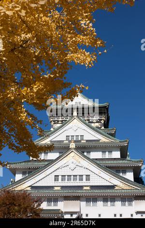 Ginkgo und Osaka Castle Keep Stockfoto