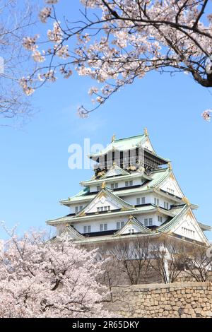 Nishinomaru Park und Kirschblüten im Schloss Osaka Stockfoto