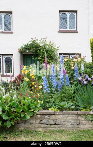 Blumen in einem englischen Landhausgarten im juni. Northamptonshire, England Stockfoto