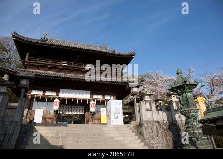 Daimontor des Konpira-gu-Schreins Stockfoto