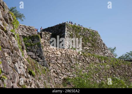 Burgruinen Takeda im Frühsommer Stockfoto