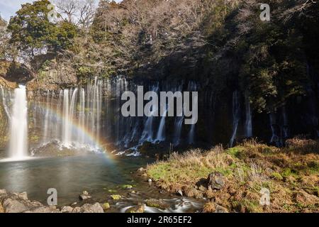 Shiraito fällt Stockfoto