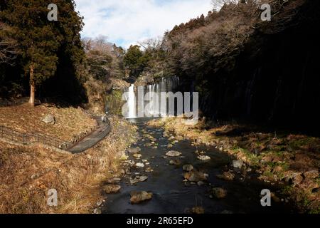 Shiraito fällt Stockfoto