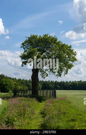 Boscobel House und The Royal Oak, Kiddemore Green Vereinigtes Königreich England GB Stockfoto