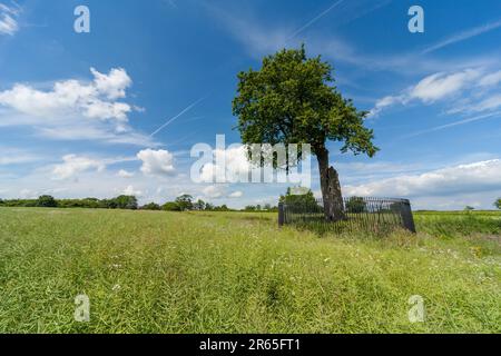 Boscobel House und The Royal Oak, Kiddemore Green Vereinigtes Königreich England GB Stockfoto