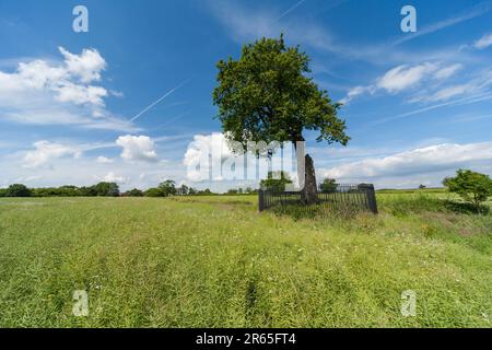 Boscobel House und The Royal Oak, Kiddemore Green Vereinigtes Königreich England GB Stockfoto