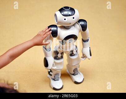 Karlsruhe, Deutschland. 07. Juni 2023. Der humanoide Roboter „NAO“ wird in der inklusiven Kindertagesstätte im Lebenshilfehaus Karlsruhe eingeführt. Dort begleitet es die Kinder in ihrem Alltag. Das Projekt ist Teil der Real Lab Robotic AI des Karlsruhe Institute of Technology (KIT), die künstliche Intelligenz (KI) und Robotik für alle Menschen greifbar macht. Kredit: Uli Deck/dpa/Alamy Live News Stockfoto