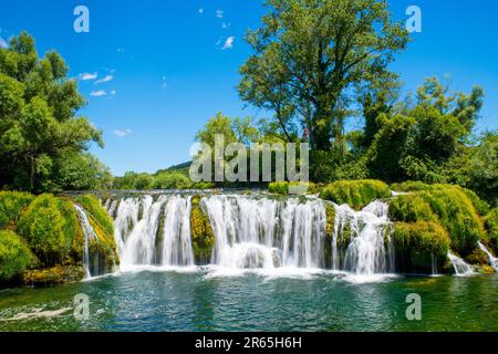 Ein malerisches Bild eines majestätischen Wasserfalls, der eine Felswand in einer Waldlandschaft hinunterragt, mit einem ruhigen Wasserbecken am Fuße Stockfoto