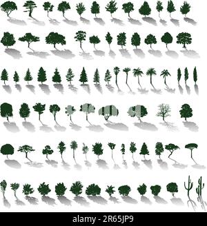 Satz von Vektorsilhouetten von Bäumen und Büschen mit Schatten Stock Vektor