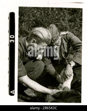 SS-Fotograf Baumann, Totenkopf Division, Russland 1941 Aufklärungseinheit von Wheeled, Fotos von Motorrädern, Flak-Gewehren, Gräbern, russischen Kriegsgefangenen und Dorfbewohnern, Fieseler FI 156 Storch, zerstörte russische Panzer und Ausrüstung, Brückenbau, im Fluss schwimmende Soldaten, Maschinengewehrmannschaft, Panzerabwehrmannschaft, Zeremonie der Unit Awards, Einheiten auf dem marsch, Artillerie von Halbschienen gezogen, Kfz-Wartungseinheit, Kriegsberichter-Aktivitäten, Feldbäckerei, Feldlazarett, Luftversorgung durch JU-52, Flugabwehrsucheinheit, Postamt und ein Focke-Wulf 189 (Eagle-Owl) im Flug. Ima Stockfoto