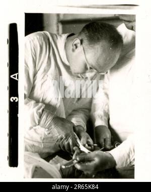 SS-Fotograf Baumann, Totenkopf Division, Russland 1941 Aufklärungseinheit von Wheeled, Fotos von Motorrädern, Flak-Gewehren, Gräbern, russischen Kriegsgefangenen und Dorfbewohnern, Fieseler FI 156 Storch, zerstörte russische Panzer und Ausrüstung, Brückenbau, im Fluss schwimmende Soldaten, Maschinengewehrmannschaft, Panzerabwehrmannschaft, Zeremonie der Unit Awards, Einheiten auf dem marsch, Artillerie von Halbschienen gezogen, Kfz-Wartungseinheit, Kriegsberichter-Aktivitäten, Feldbäckerei, Feldlazarett, Luftversorgung durch JU-52, Flugabwehrsucheinheit, Postamt und ein Focke-Wulf 189 (Eagle-Owl) im Flug. Ima Stockfoto