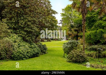 Frühlingssaison in Glenveagh Castle Gardens, Glenveagh National Park, Churchill, Co Donegal, Republik Irland. Stockfoto