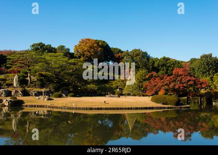 Herbstfarben in Rikugien Stockfoto