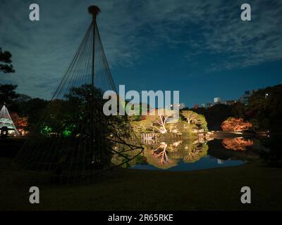 Rikugien-Laub leuchtet auf Stockfoto