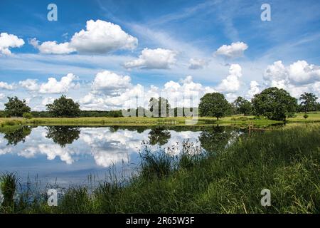 Eine ruhige Landschaft mit einem ruhigen, reflektierenden Teich, umgeben von üppigen Bäumen auf einem friedlichen Feld Stockfoto