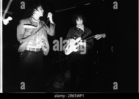 THE STROKES, YOUNG, FIRST UK TOUR, 2001: Julian Casablancas und Albert Hammond Jr von The Strokes auf ihrer ersten großen UK- und European Tour im Clwb IFOR Bach Welsh Club in Wales, UK am 14. Juni 2001. Foto: Rob Watkins Stockfoto