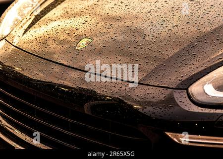 Masi, Italien, 7. juni 2023: Luxuriöses schwarzes Auto mit Wassertropfen auf dem eleganten Äußeren. Stockfoto