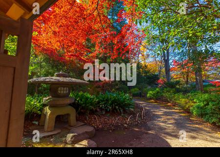 Rikugien im Herbst Stockfoto