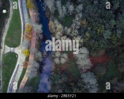 Dieses Bild zeigt eine ruhige Landschaft mit einem Fluss, der durch einen üppigen Wald von Bäumen fließt Stockfoto
