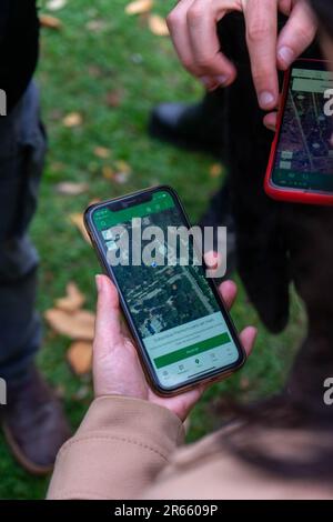 Die Hände der Leute bewegen eine Karte auf ihren Handys, um Geocaching in einem Park zu spielen. Stockfoto