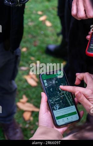 Die Hände der Leute bewegen eine Karte auf ihren Handys, um Geocaching in einem Park zu spielen. Stockfoto