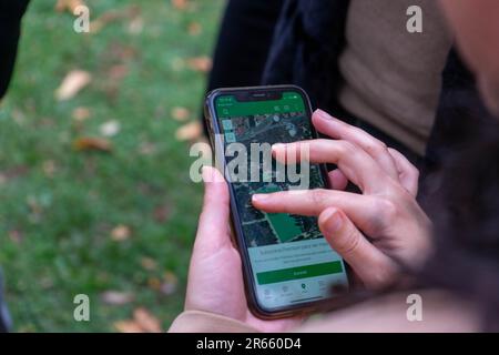 Die Hände der Leute bewegen eine Karte auf ihren Handys, um Geocaching in einem Park zu spielen. Stockfoto