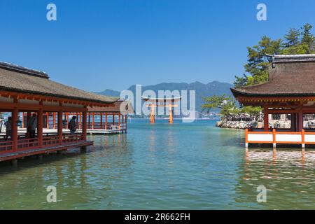 Torii vom Itsukushima-Schrein Stockfoto