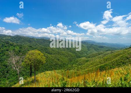 Wunderschöne Landschaft von Bergen in Schichten mit grünem Wald bedeckt im Mokochu Noi im Mae Wong Nationalpark in Thailand. Stockfoto