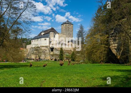 VEW von Kost - gotische Burg im Böhmischen Paradies - Tschechische republik. Stockfoto