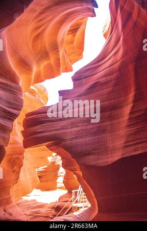 Lions Head im unteren Antelope Canyon von Navajo Nation Stockfoto