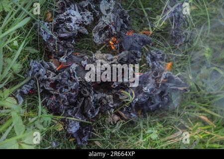 Richtig verbranntes Papier auf grünem Gras am Sommertag, wie ein Symbol der Ökologie Stockfoto