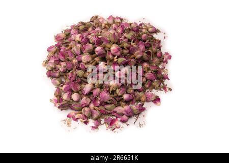Trockene Teerosen, isoliert auf weißem Hintergrund. Stockfoto