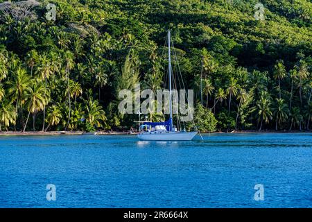 Ein Foto von einem Segelboot, das im wunderschönen blauen Wasser von Bora Bora in der Nähe eines grünen bewaldeten Strandes vor Anker liegt. Stockfoto