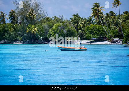 Eine Teleaufnahme eines kleinen Boots, das in wunderschönem blauen Wasser nahe der Küste von Palmen umgeben ist Stockfoto
