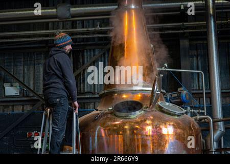 Arbikie Highland Estate Distillery, Highlands, Montrose, Schottland Stockfoto